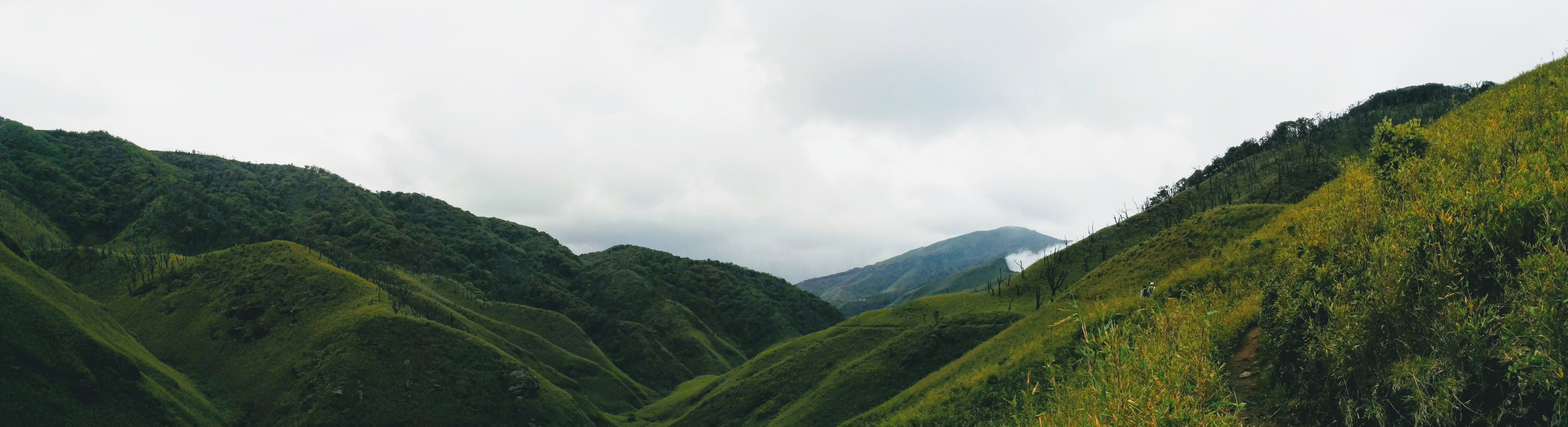 At the top of the long uphill climb on the Dzükou trail