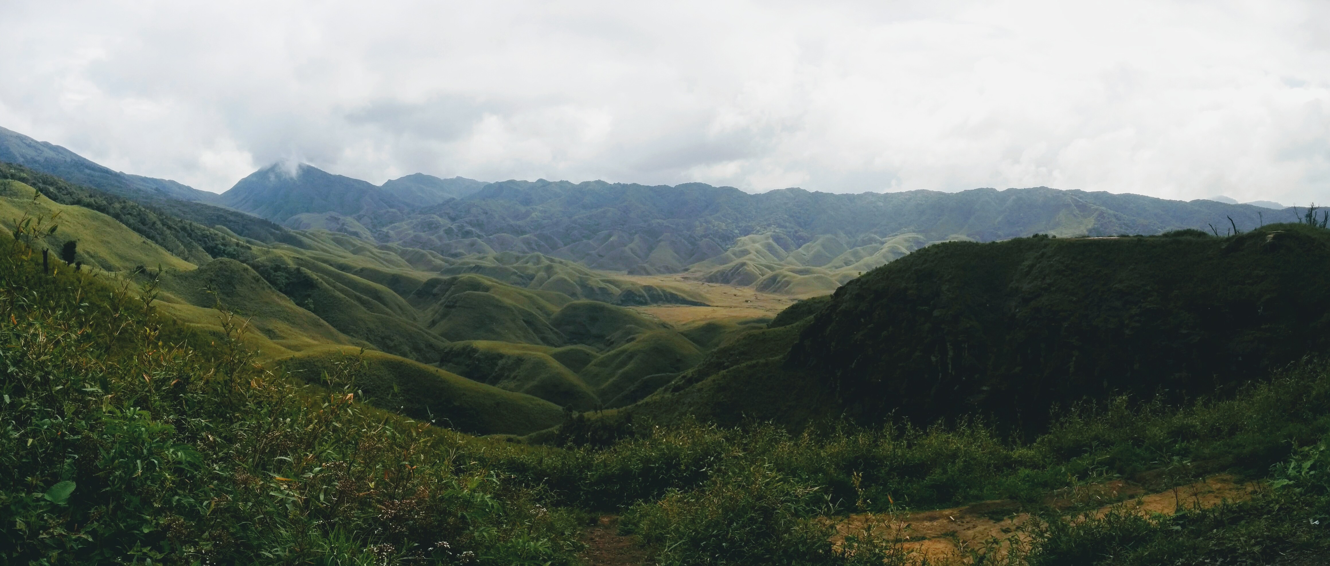 The heart of Dzükou Valley, rolling alpine meadows ringed by hills