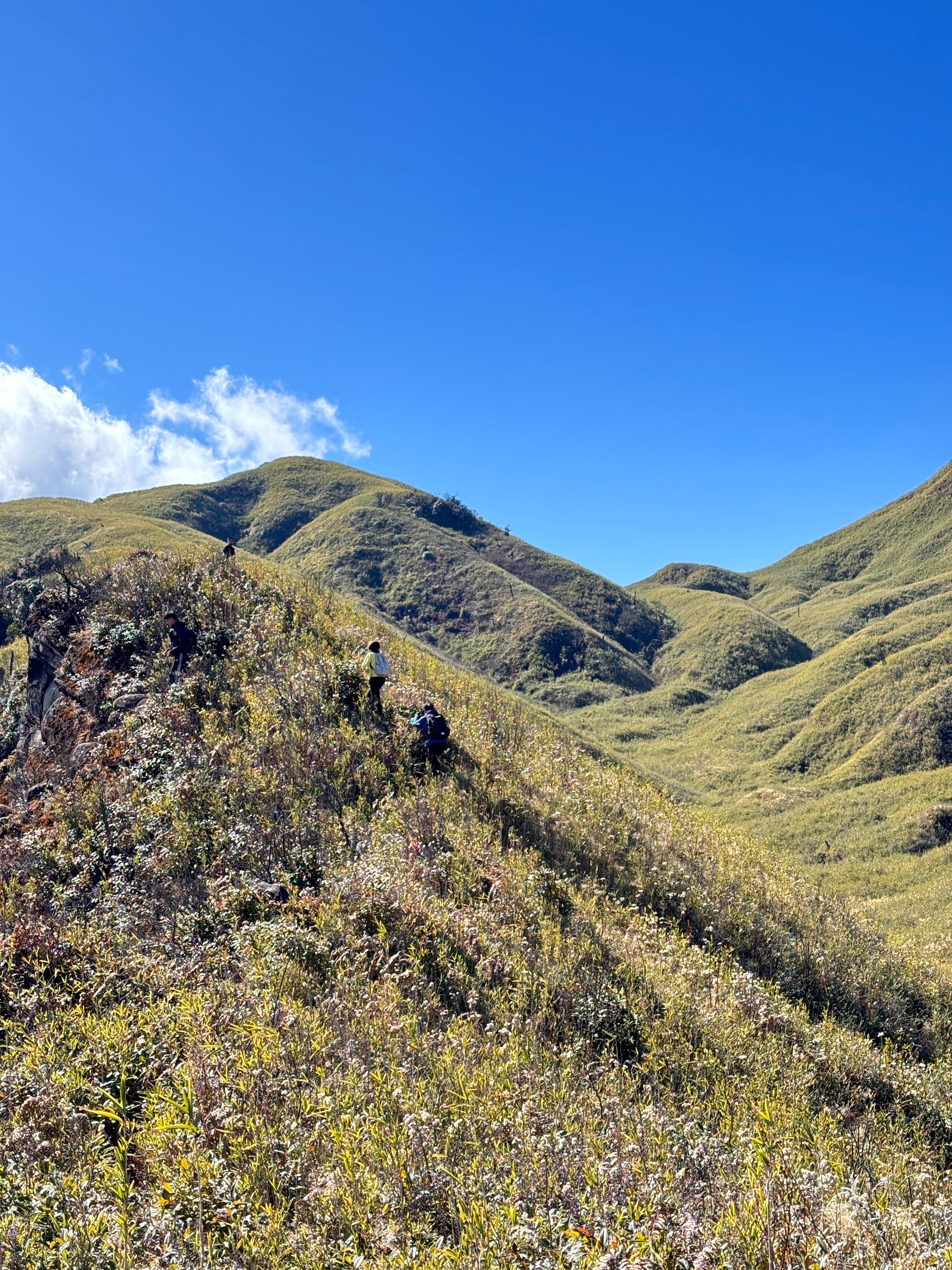 Hikers climbing the steady uphill trail toward the summit of Mount Tempü
