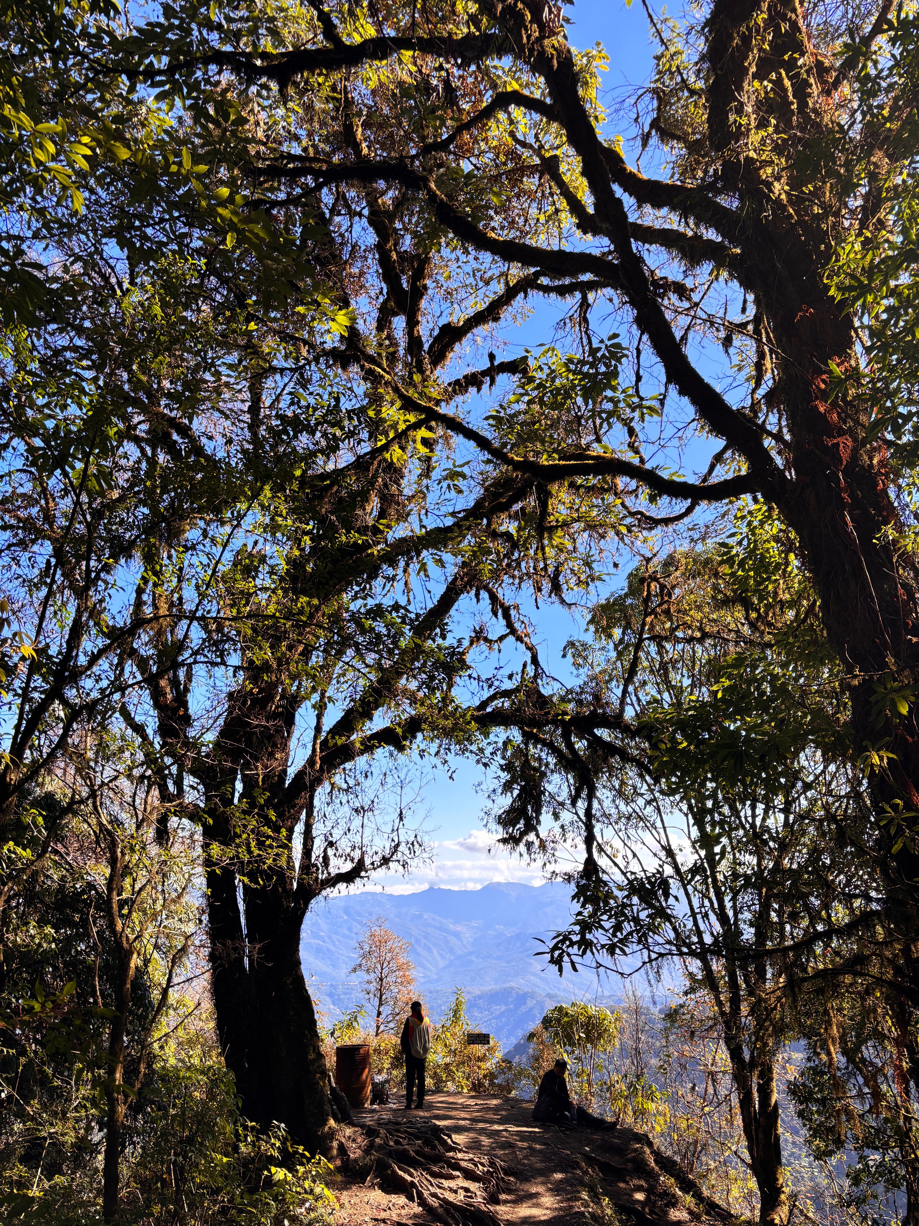Trekkers resting in the shade partway up the climb to Mount Tempü