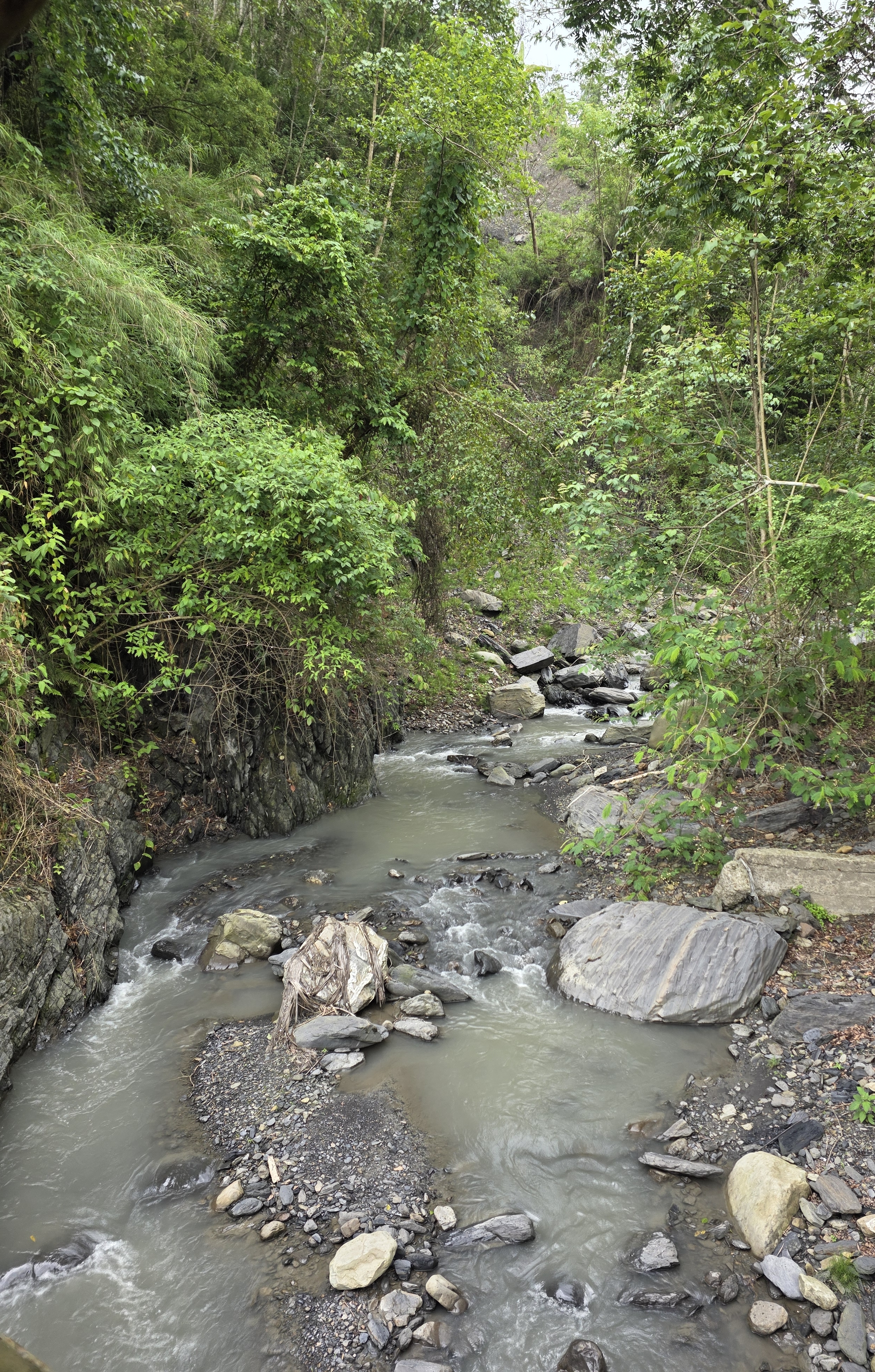 A mountain river flowing through the forested valley below Viswema