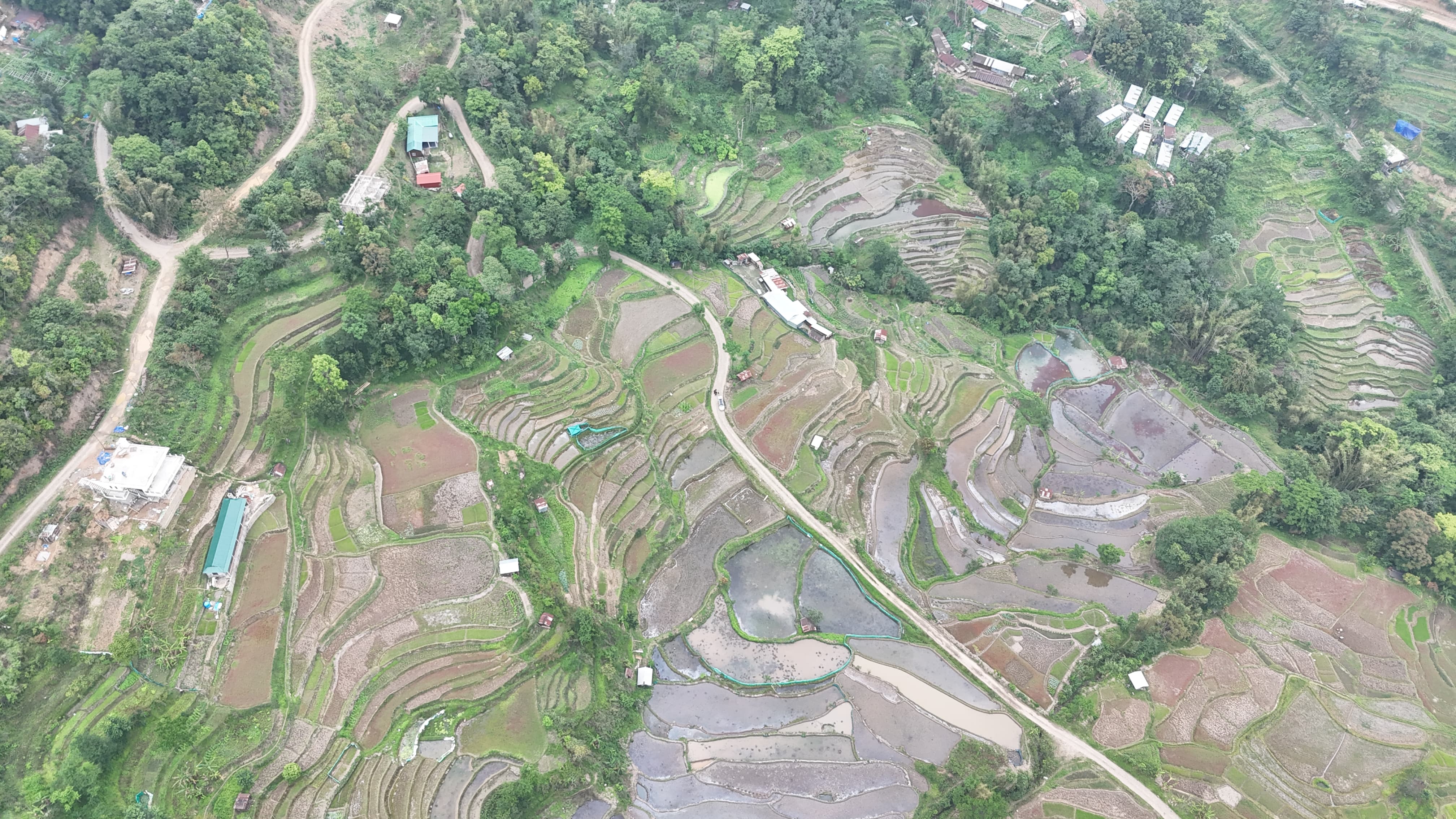 Wide aerial view of terraced rice paddies cascading down the hillsides around Viswema