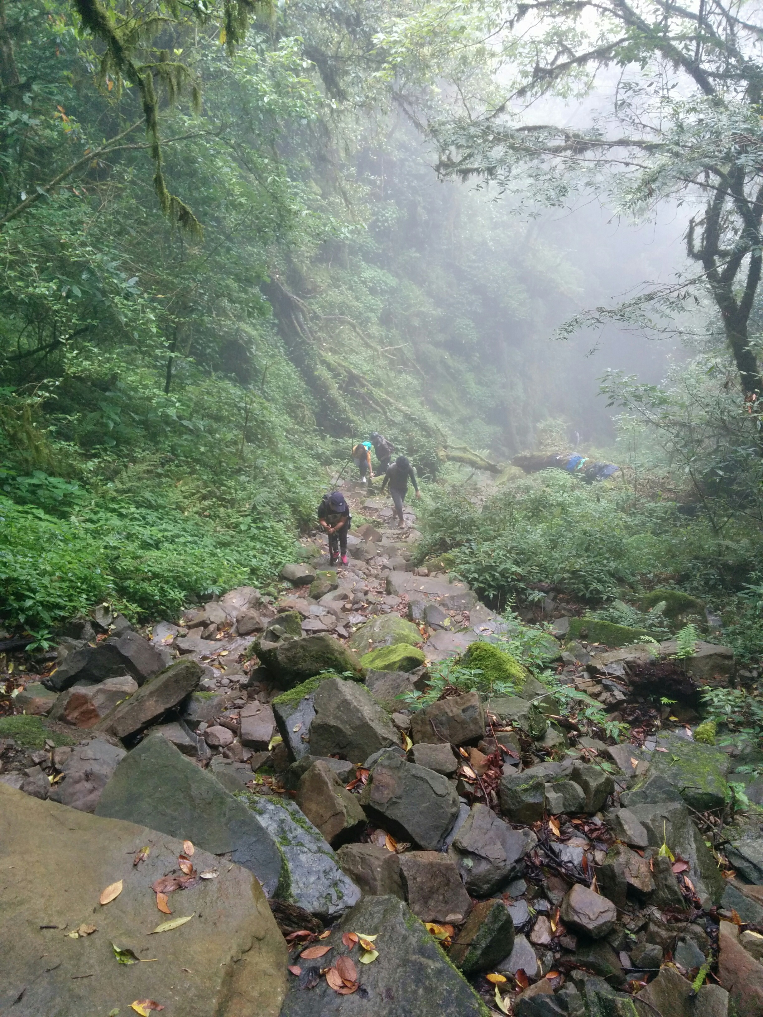 The uphill trail leading from the entryway toward Dzükou Valley
